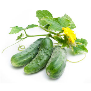 Concombre épineux
