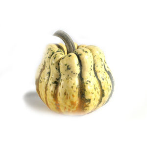 Courge patidou