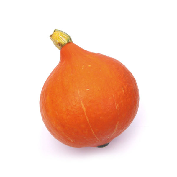 Courge potimarron