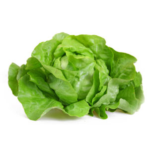 Laitue verte