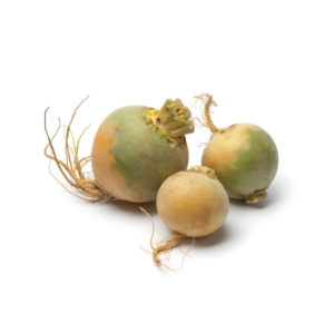 Navet boule d'or