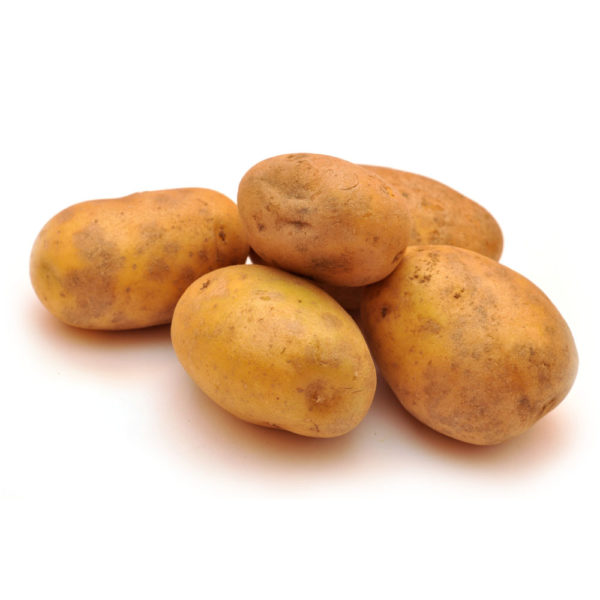 Pomme de terre